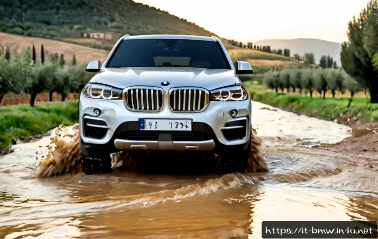 BMW X5의 오프로드 주행 리뷰 관련 이미지 1